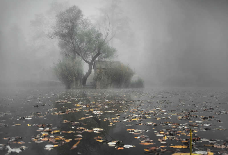  - Academy Photo Awards Nature 2026 Winners