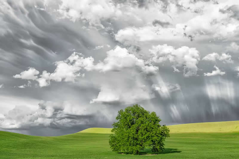 Pastoral Palouse by Charles Janson, USA