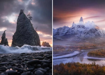 The Artist Gallery Awards 2026 Landscape Winners