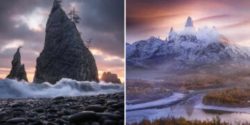 The Artist Gallery Awards 2026 Landscape Winners