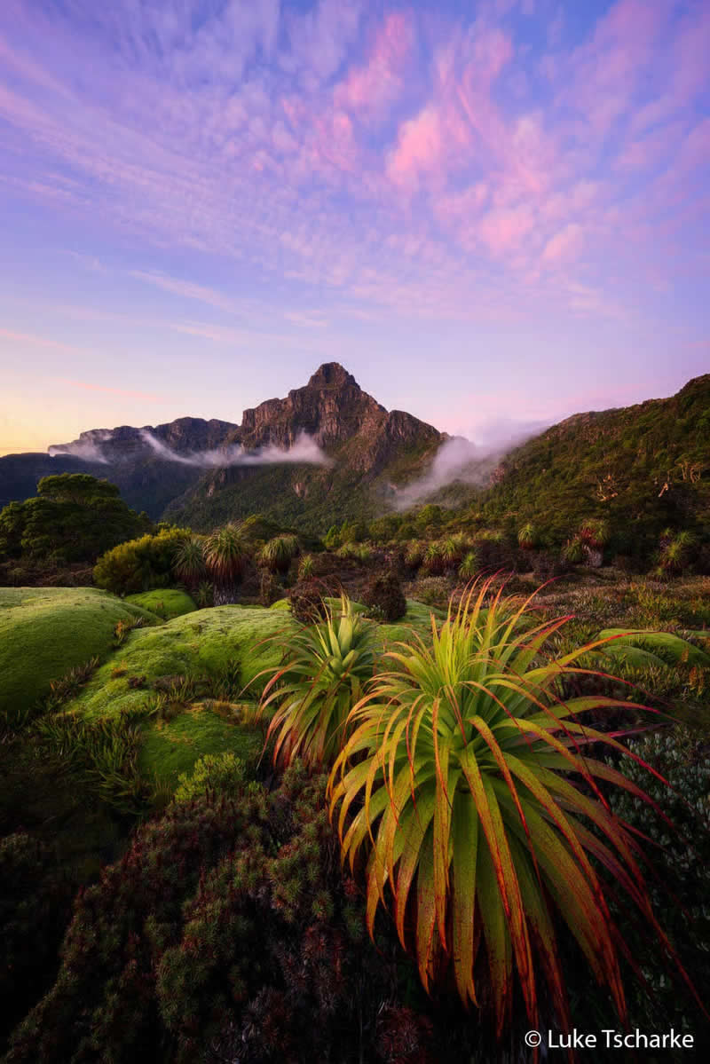 Botanical: Heart of the Southwest by Luke Tscharke - Australian Geographic Nature Photographer of the Year 2026 Shortlists