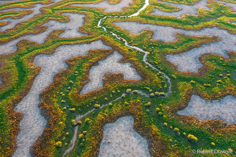 Landscape: Lifeblood by Robert Downie - Australian Geographic Nature Photographer of the Year 2026 Shortlists