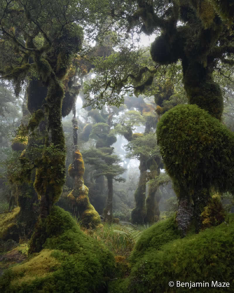 Landscape: Creatures in the Shadows by Benjamin Maze - Australian Geographic Nature Photographer of the Year 2026 Shortlists