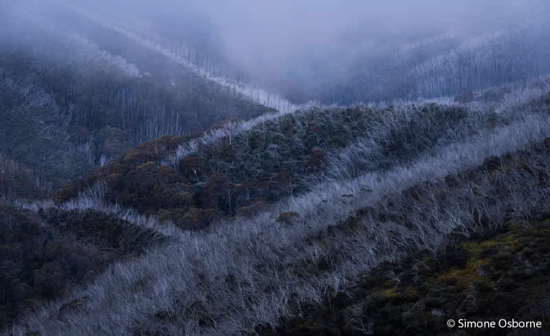 Landscape: Contour Lines by Simone Osborne - Australian Geographic Nature Photographer of the Year 2026 Shortlists