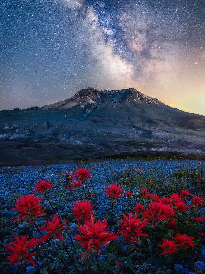 Bright red wildflowers bloom in the foreground beneath the Milky Way, with a rugged mountain rising in the background under a clear, star-filled night sky.