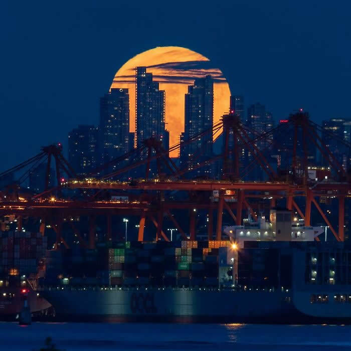 A massive golden full moon rises behind a city skyline, silhouetting skyscrapers above a busy harbor filled with cranes, cargo ships, and glowing waterfront lights at night.
