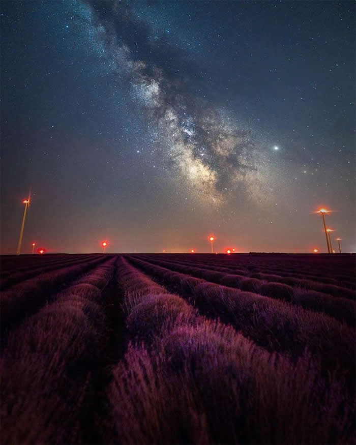Neat rows of blooming lavender fields lead toward the horizon beneath the Milky Way, with illuminated wind turbines standing against a clear, star-filled night sky.