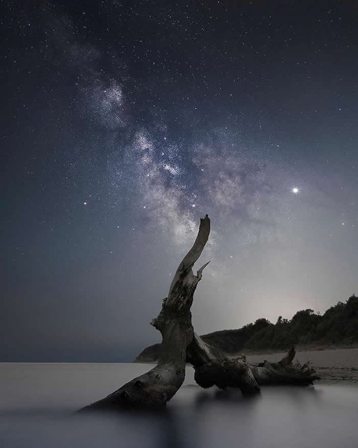 A weathered driftwood tree emerges from calm coastal water beneath the Milky Way, with a star-filled sky stretching above a quiet shoreline during a peaceful night.