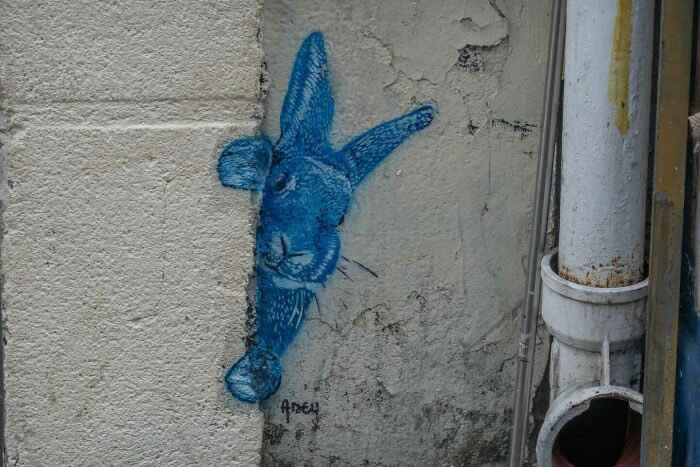 Street Art Photos That Turn Walls Into Open-Air Galleries