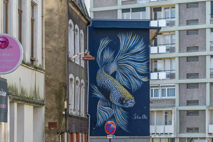Street Art Photos That Turn Walls Into Open-Air Galleries
