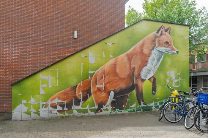 Street Art Photos That Turn Walls Into Open-Air Galleries