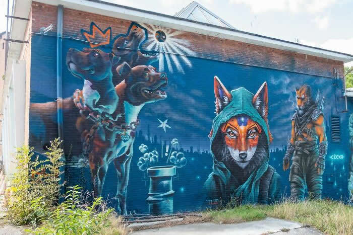 Street Art Photos That Turn Walls Into Open-Air Galleries