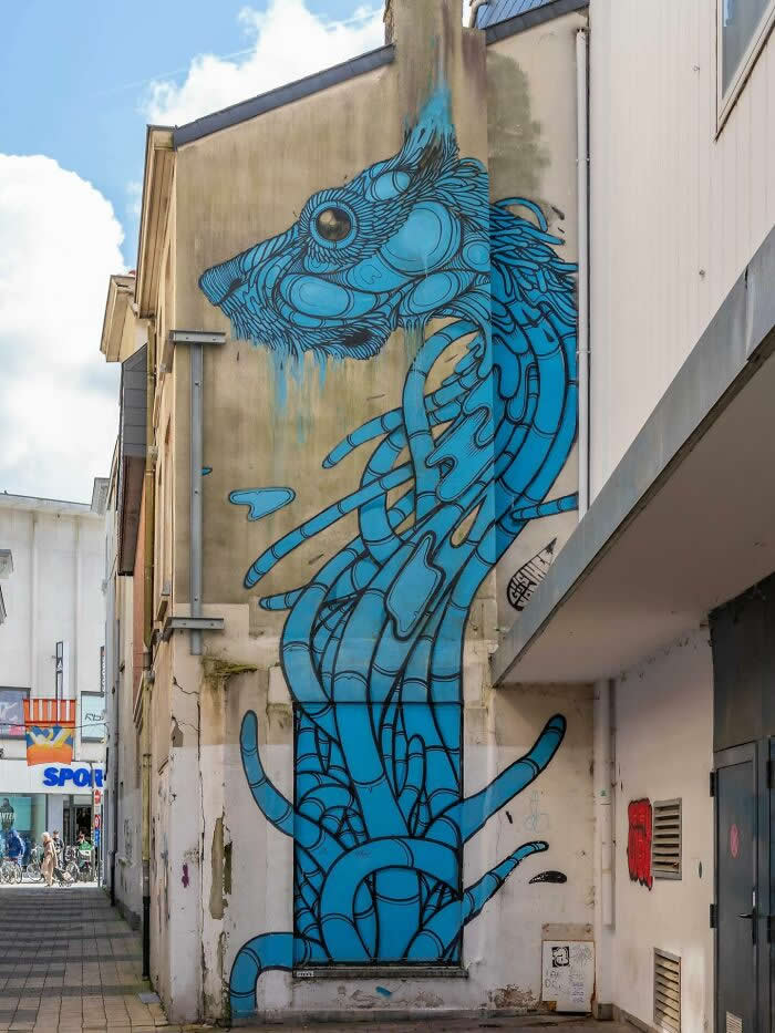 Street Art Photos That Turn Walls Into Open-Air Galleries