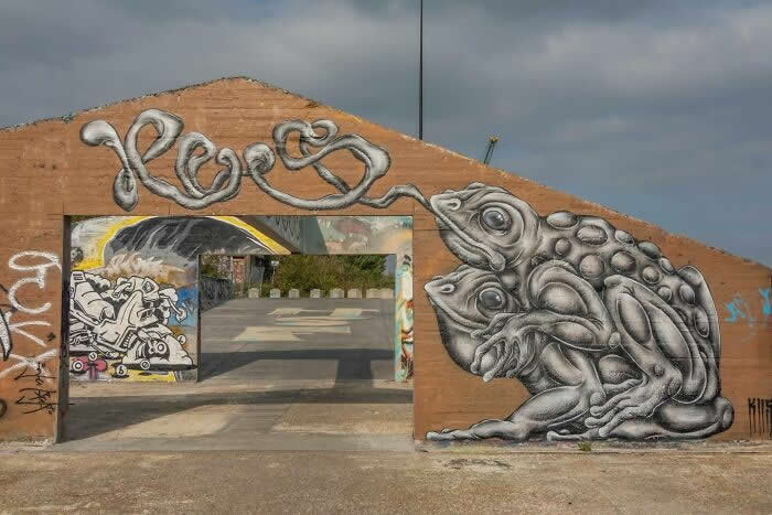 Street Art Photos That Turn Walls Into Open-Air Galleries