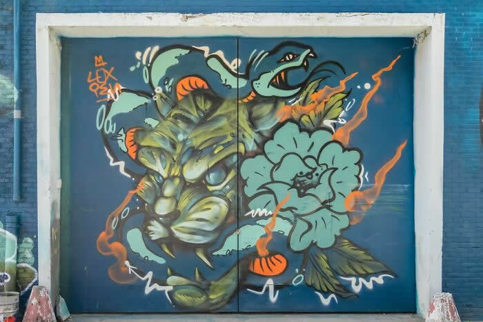 Street Art Photos That Turn Walls Into Open-Air Galleries