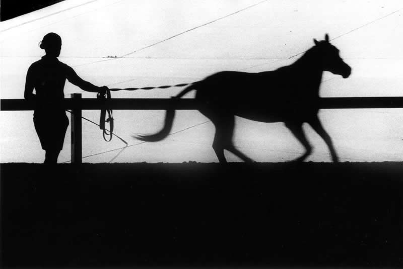 Shadows and Silence: 30 Fine Art Black and White Photos by Renato D’Agostin 49 Fine Art Black and White Fine Art Photography by Renato D Agostin