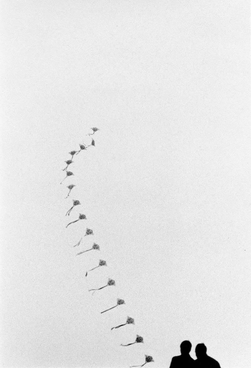 Shadows and Silence: 30 Fine Art Black and White Photos by Renato D’Agostin 59 Fine Art Black and White Fine Art Photography by Renato D Agostin