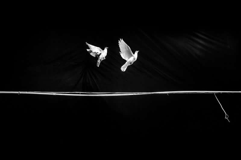 Black and White Minimalist Photography by Alan Schaller
