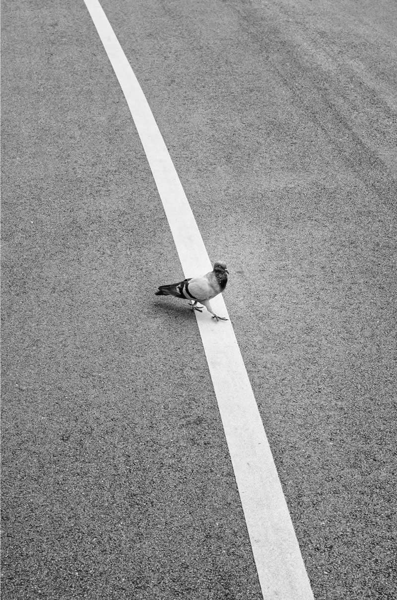 Black and White Minimalist Photography by Alan Schaller