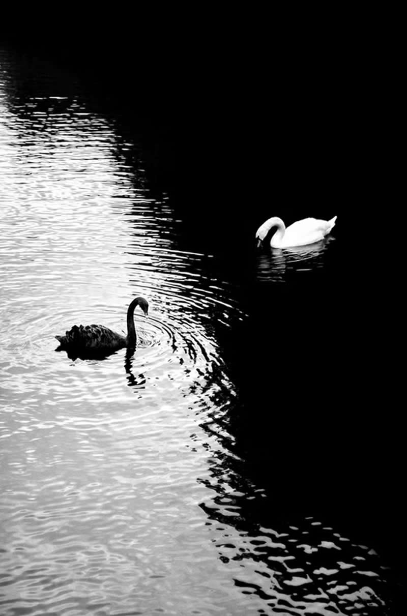 Black and White Minimalist Photography by Alan Schaller