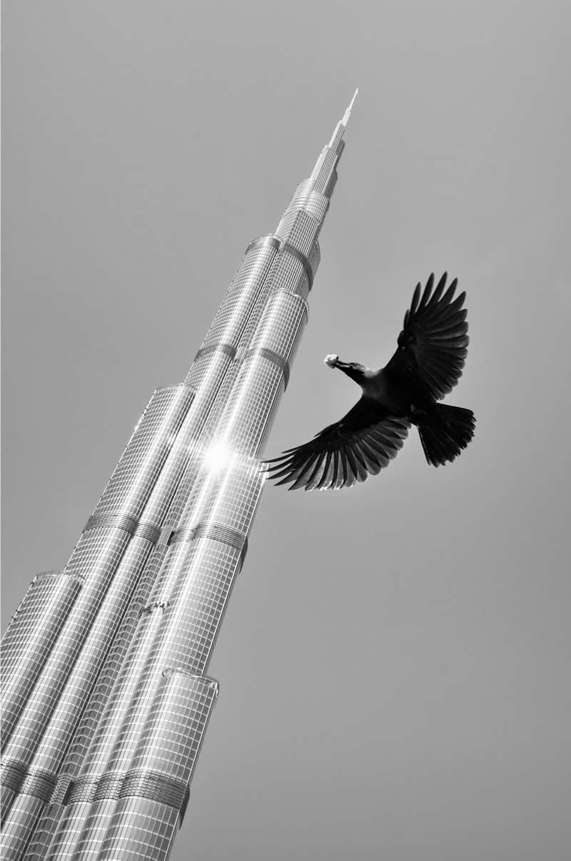 Black and White Minimalist Photography by Alan Schaller