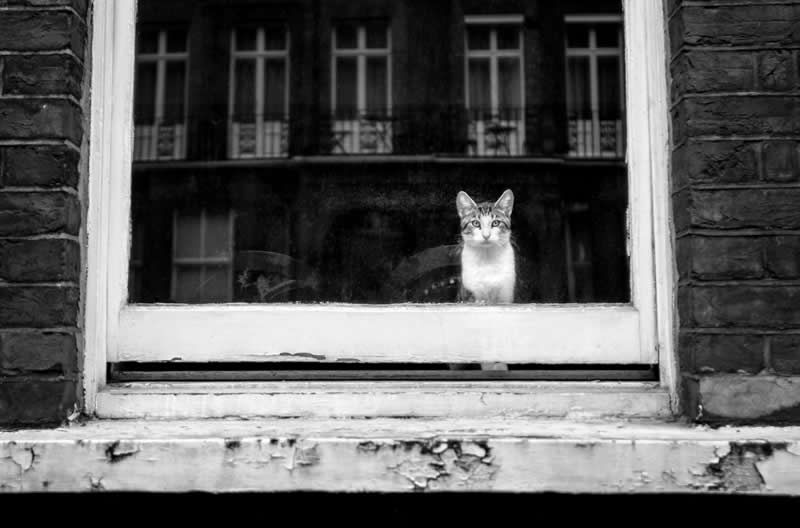 Black and White Minimalist Photography by Alan Schaller
