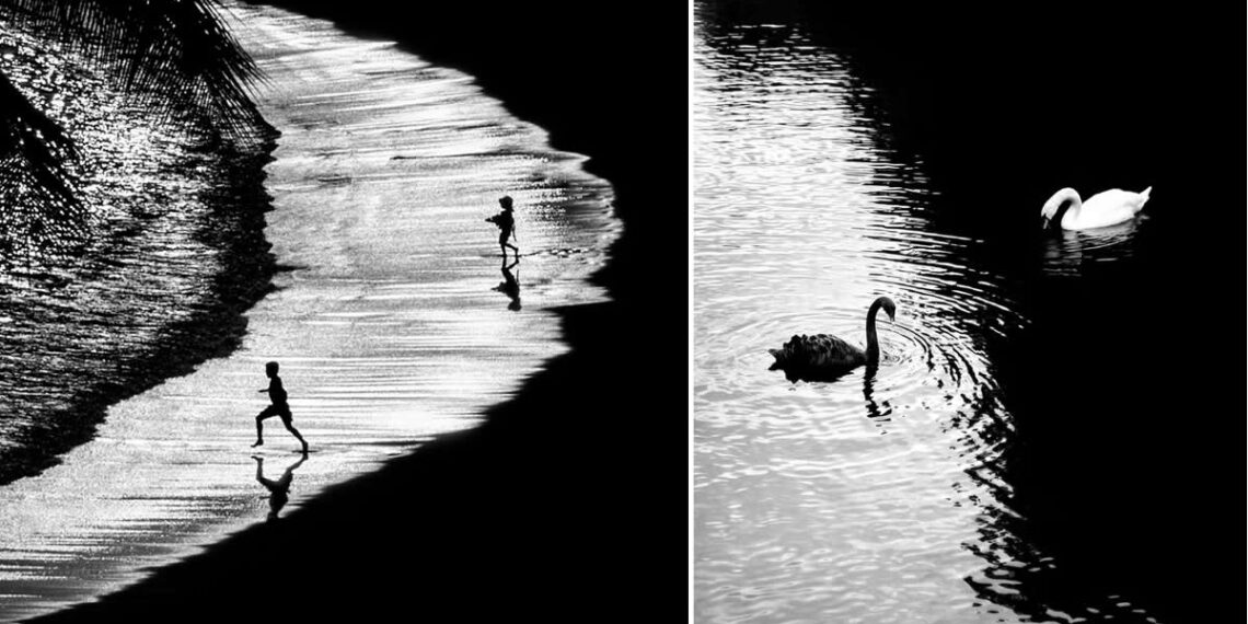 Poetic Black and White Photos by Alan Schaller