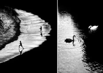 Poetic Black and White Photos by Alan Schaller