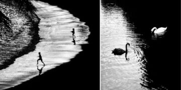 Poetic Black and White Photos by Alan Schaller