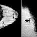Finding Beauty in Simplicity: 33 Poetic Black and White Photos by Alan Schaller 73 Poetic Black and White Photos by Alan Schaller