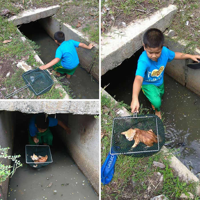 A young boy carefully enters a narrow drainage culvert to rescue a stranded orange cat, gently carrying it to safety in a mesh basket, highlighting compassion and the special bond between humans and animals.