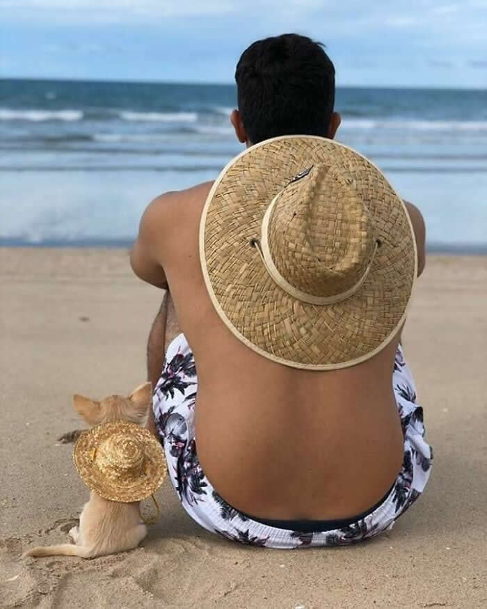 A person and a small dog sit side by side on a sandy beach, both wearing straw hats and gazing toward the ocean, capturing a peaceful moment that reflects the deep bond between humans and animals.