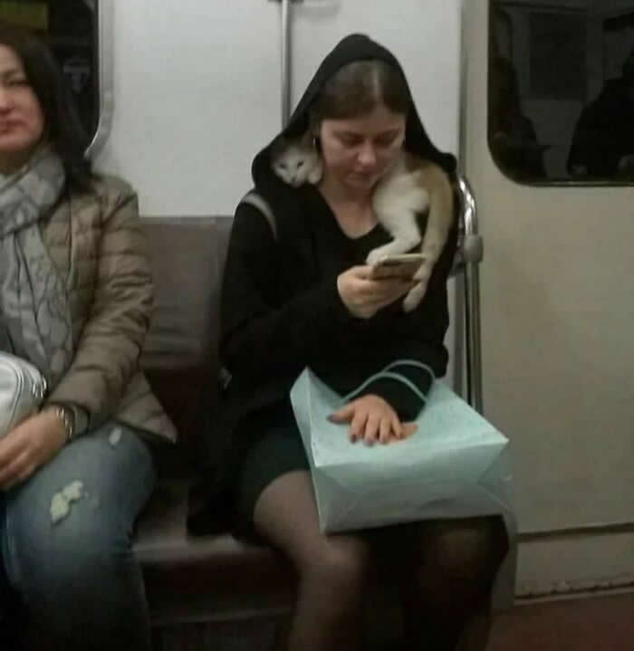 A woman sits on a train looking at her phone while a small cat rests comfortably on her shoulders beneath her hood, showcasing a heartwarming bond of trust, companionship, and affection between humans and animals.