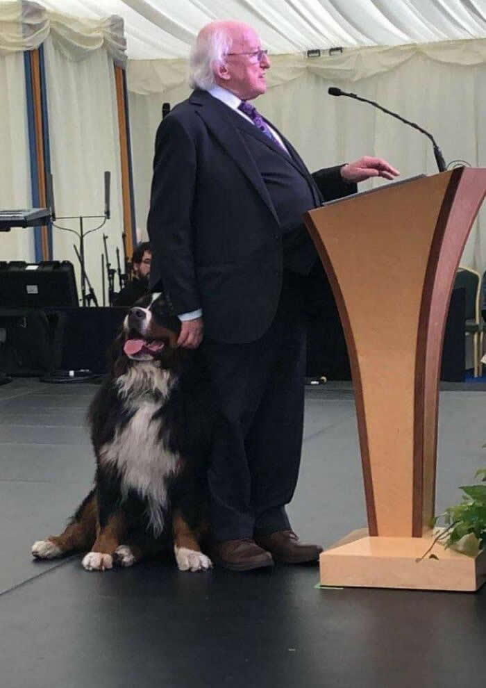 An older man stands at a podium giving a speech while a large dog sits calmly beside him, reflecting a deep bond of loyalty, trust, and companionship between humans and animals.