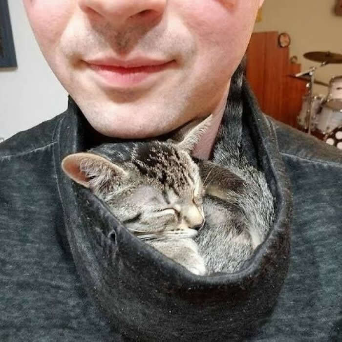 A small tabby kitten sleeps peacefully inside the collar of a person&rsquo;s shirt, nestled close to their chest for warmth and security, capturing a tender moment of trust, affection, and the deep bond between humans and animals.