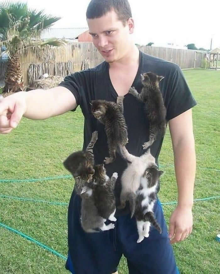 A man stands in a grassy yard while several playful kittens climb onto his shirt and arms, seeking attention and affection, creating a heartwarming scene that reflects trust, companionship, and the special bond between humans and animals.