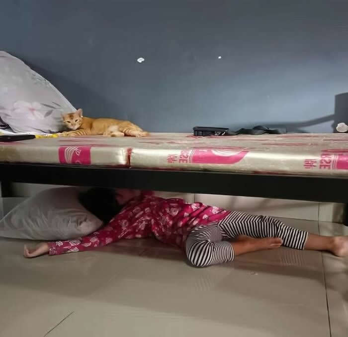 A child lies asleep on the floor beneath a bed while an orange cat rests calmly on the mattress directly above, creating a charming scene that reflects the close bond, comfort, and companionship shared between humans and animals.