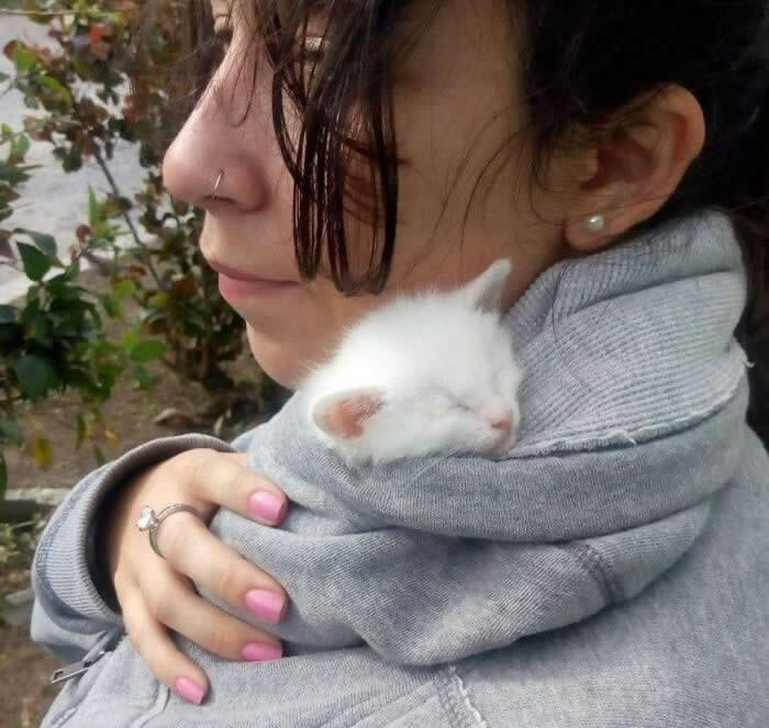 A small white kitten sleeps peacefully inside a woman&rsquo;s sweatshirt collar while she gently holds it close, creating a tender scene that reflects warmth, protection, trust, and the deep bond between humans and animals.