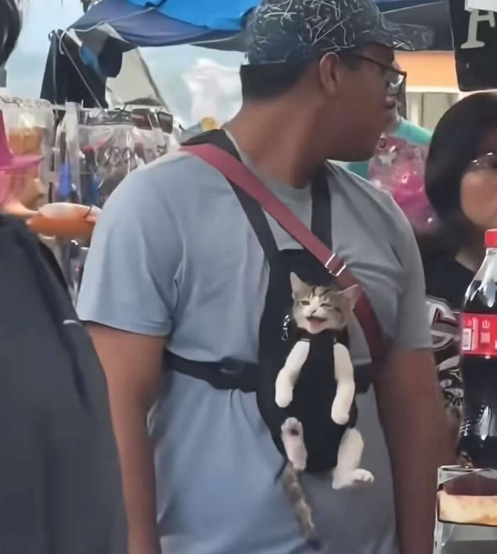 A man walks through a busy outdoor market with a small kitten comfortably nestled in a front pet carrier on his chest, showcasing a heartwarming bond of trust, affection, and companionship between humans and animals.
