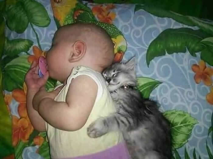 A sleeping baby lies on a colorful blanket with a fluffy gray kitten cuddled closely against their back, creating a heartwarming scene that reflects comfort, trust, affection, and the deep bond between humans and animals.