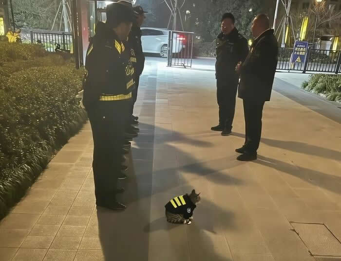 A small cat wearing a miniature reflective uniform sits attentively in front of a line of uniformed security personnel during an outdoor gathering at night, creating a charming scene that reflects inclusion, companionship, and the special bond between humans and animals.
