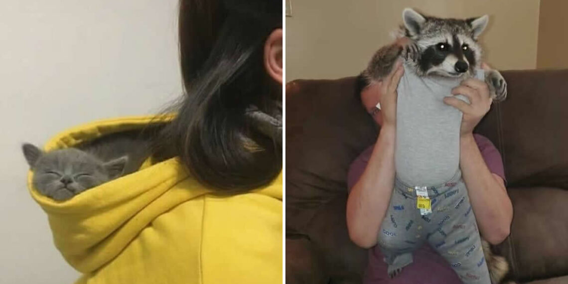 Unbreakable Bond Between Humans and Animals