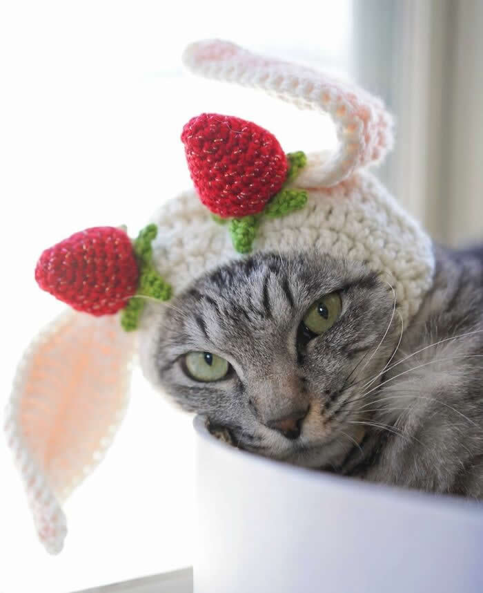 Gray tabby cat wearing a crocheted strawberry hat with bunny ears, resting in a white basket near a bright window in a cute and cozy indoor portrait.