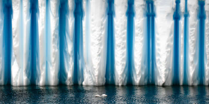 The Geometry of the Wild: Spectacular Conservation Photography by Jon McCormack 26 Conservation Photography by Jon McCormack