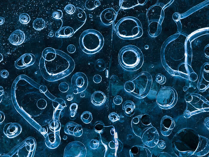 The Geometry of the Wild: Spectacular Conservation Photography by Jon McCormack 34 Conservation Photography by Jon McCormack