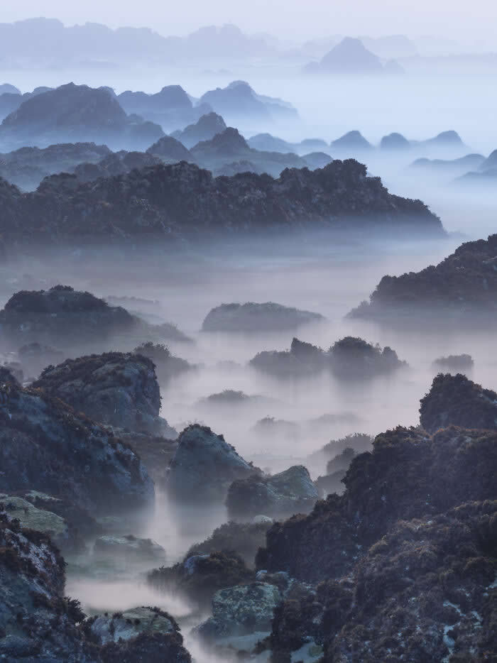 The Geometry of the Wild: Spectacular Conservation Photography by Jon McCormack 35 Conservation Photography by Jon McCormack