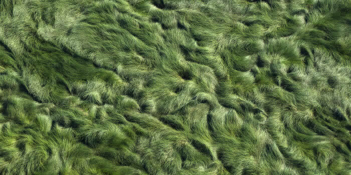 The Geometry of the Wild: Spectacular Conservation Photography by Jon McCormack 40 Conservation Photography by Jon McCormack