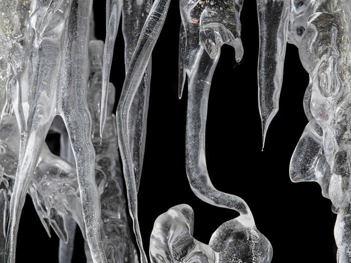 The Geometry of the Wild: Spectacular Conservation Photography by Jon McCormack 41 Conservation Photography by Jon McCormack