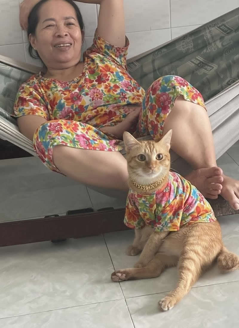 An orange tabby cat sits proudly on the floor wearing a colorful floral shirt and a gold chain that perfectly matches the outfit of a smiling woman relaxing in a hammock behind it. The coordinated outfits make the adorable duo look like the ultimate fashion partners.