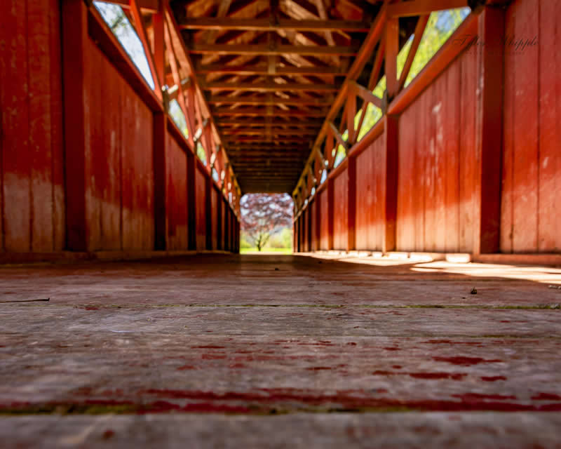 Gurushots Architecture Winners Photo Challenge